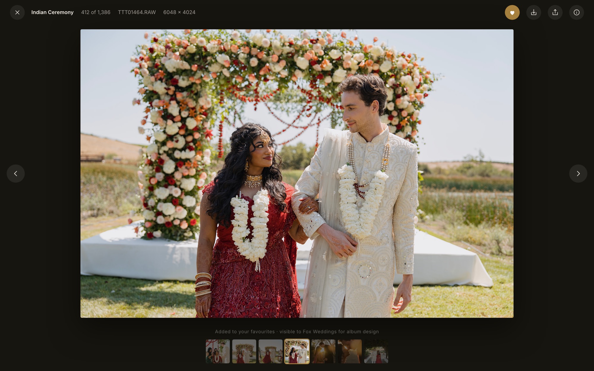 The full-screen photo view on dark ground with a filmstrip and favourite, download and share actions.